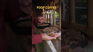 Trying Luwak Cat *POOP* Coffee 💩☕️ Would you try it? Bali Special #grateful #travel #ubud