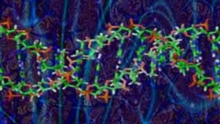 Chromosome 15 : musical translation of missing  region  in Prader Willi Syndrome