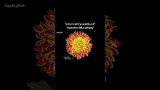 از در درآمدی و من از خود به در شدم، محمدرضا شجریان