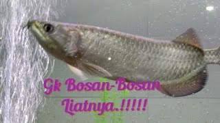 Hiasan Depan Rumah