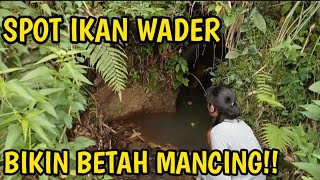 SPOT IKAN WADER BIKIN BETAH MANCING.!!