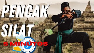 PENCAK SILAT - Un Arte Marcial en 5 minutos - Segunda Temporada 🥋💪🏽