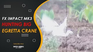 HUNTING WITH FX IMPACT MK3 - FATAL SHOT EGRET CRANE