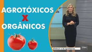 Como reduzir o consumo de agrotóxicos - Dicas de alimentação com Bettina Moritz