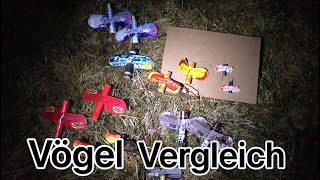 Vögel Vergleich | AutProPyro