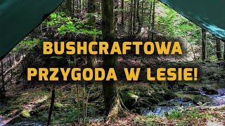 Bushcraftowa przygoda w lesie!