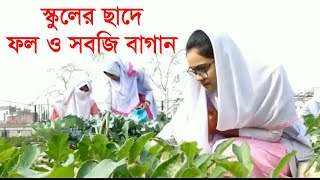 স্কুলের ছাদে ফল ও সবজির বাগান - Fruit and vegetable garden on the roof of the school.