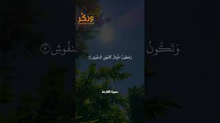 سورة القارعة الآيات من 1 إلى 9 بصوت القارئ سعد الغامدي #حالات  #quran #قرآن  #shorts