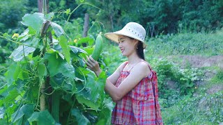 What We Harvested In Summer? | Chicken Wings | Loofah Soup | Couple's Pastoral Life in Sichuan