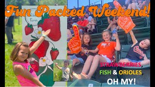 Strawberries, Fish and Orioles, OH MY!