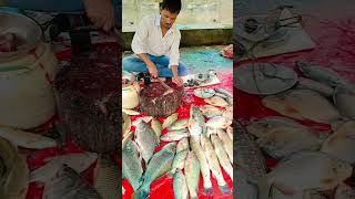 Fish market ll big fish ll amazing video ll