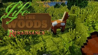 Life in the Woods Renaissance - Part 3 - Taming a Horse (Minecraft)