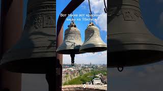 Вот такие вот красивые виды на Тбилиси #travel #georgia #tbilisi #wine #beautiful #shorts