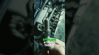 All you need to know about SPARK PLUGS!