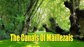 THE CANALS OF MAILLEZAIS, MAILLEZAIS, FRANCE || CANALS FROM THE 13TH CENTURY || NATURE SOUND