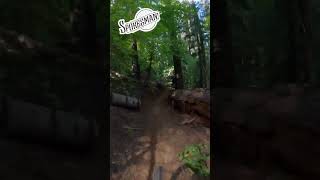 Fast riding on the Hoot Trail in Nevada City.  #shorts  #mtb #mountainbike #mtblife #mtbbiking