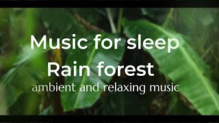 Relaxing Rain Sounds to Fall Asleep - Relax your mind with sound of rain forest (thunder effect)