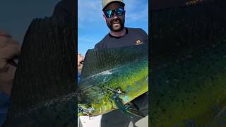 Some Mahi fishing off the coast of Baja.