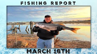 New Jersey Fishing Report March 16th #fishingreport #striper #contest