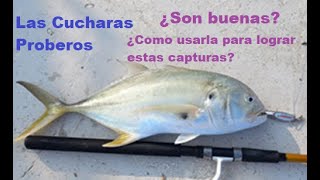 Consejos para usar cucharas proberas #trending #pesca #pez #fishing #señuelos #jurel #sabalo