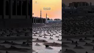 25 Seconds For Allah Surha Al Baqrah 273 Verse Urdu translation #naat #quran #deenenabi #2023 #islam