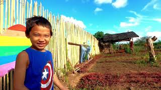 Nolan fun time Adventure at the Flower Farm