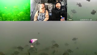 Ice Fishing LIVE in a Cold Front (Underwater Views)