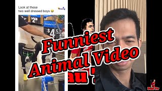 Animal Funniest Video l Pau Tv