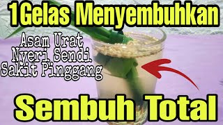 Baru Ditemukan Resep Mengobati Asam Urat, Nyeri Sendi Dan Sakit Pinggang