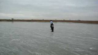 Schaatsen op Oostvaardersplassen