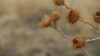 Is spring in Colorado getting more windy?