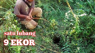 SATU LUBANG 9 EKOR LEMBAT_MANCING LEMBAT LELE AKAR