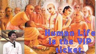 Human Life is the VIP ticket भगवान के दर्शन करने के लिए. #amrendraprabhu #lecture #shortvideo