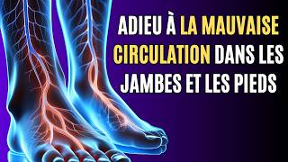 La meilleure vitamine pour éliminer la mauvaise circulation dans les jambes et les pieds