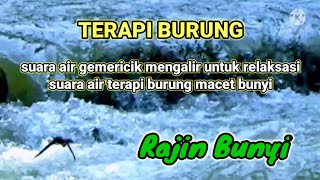 Suara Air Gemericik Mengalir - Suara Air Terapi Burung Macet Bunyi | Relaksasi