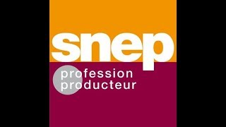 SNEP Numéro Un Des Hits Des Années 1990-1999/ Number One Hits in France from 1990-1999