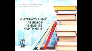 ЛИТЕРАТУРНЫЙ ФЛЕШМОБ ТК24 ЗИМНИЕ КАРТИНКИ 4 ЧАСТЬ