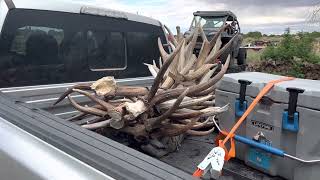 Arizona Shed Hunting: Awesome Sunday and Shed Hunt w/ Mark