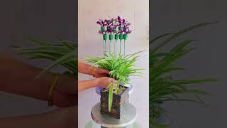 Beautiful Cutting and Pruning Flower in Fertilizer so easy planting flower at home #flowers #plants