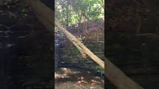 Waterfall in whangaparaoa