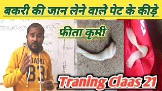 Training Class 21|Pet Ke Kide Kaise Mare |Dewarming Kaise Kare |Vimalumrao Training