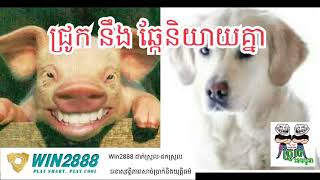 [funny clip], ឆ្កែ​​ និងជ្រូកនិយាយគ្នា​ by The Troll Cambodia, khmer funny clip