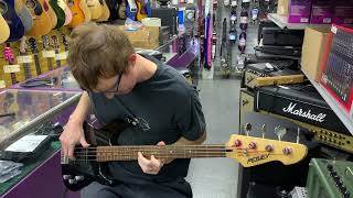 Peavey Foundation Fretless Bass