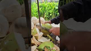 Only 0 75$! Cambodian Fresh Coconut Water  - Fruit Cutting Skills. #shorts #coconut #short #fresh