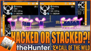 Was this lobby STACKED or HACKED?  🤣 theHunter: Call of the Wild! Yukon Valley All Diamonds!