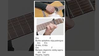 Antikvariniai Kašpirovskio dantys | Daug dienų🎸 Gitaros pamokos  #cover #guitar #gitarskaglazba