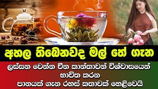 ලස්සන වෙන්න චීන කාන්තාවන් විශ්වාසයෙන් භාවිත කරන පානයක් ගැන රහස් කතාවක් හෙළිවෙයි