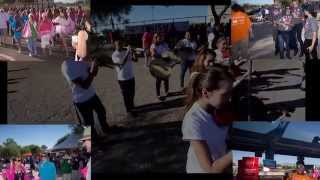 2014 Breast Cancer Walk - Tucson Arizona