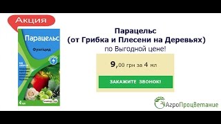 Купить Фунгицид Парацельс. Средство от Грибка и Плесени на Деревьях