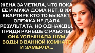 Жена заметила, что пока её и мужа дома нет, в их квартире кто то бывает. Слежка не дала результата..